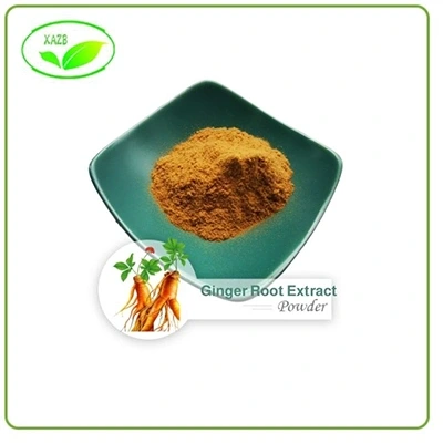 Ginger Root Extract Powder